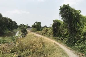 Đất Củ Chi lại ‘nóng bỏng tay’