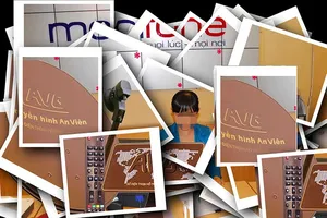 Nhìn lại việc phê duyệt dự án mua AVG