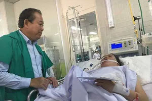 Phó Thủ tướng thị sát chung cư Carina