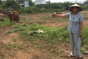 14 năm ủy ban không trả đất cho dân