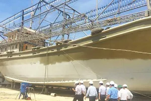 Nam Triệu 'hỗ trợ' chứ không bồi thường