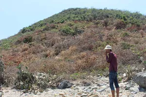 Chưa lên đặc khu đã náo loạn gom đất