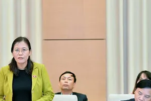 Có hồ sơ dự án luật làm trên... những ‘bản nháp’?