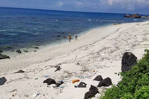 Lo lắng dự án FLC chồng Công viên địa chất Lý Sơn