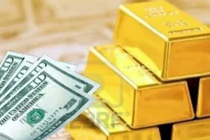 Vụ TP.HCM phải trả 10 kg vàng: Luật quy định sao?