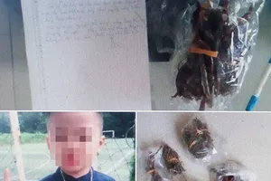 Thực hư bài thuốc gia truyền sinh con trai