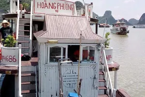 Truy lùng tàu du lịch bị du khách Úc phản ứng