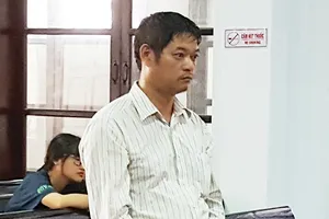 Xử vụ xác rùa biển: Tranh cãi vì thiếu hướng dẫn