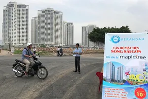 Cầu vừa thông, giá đất đảo Kim Cương đã nóng