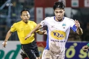 Khi Phượng ‘nở hoa’