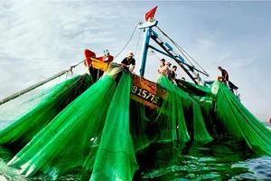 Lại muốn đổ 1 triệu m3 bùn, cát xuống biển Bình Thuận