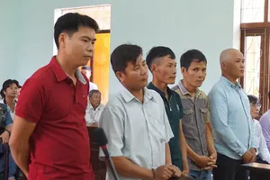 Vụ cưa gỗ khô bị tội: Hành trình kêu oan đầy cảm xúc