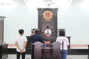 Tòa thụ lý sai, vụ án bị chuyển lòng vòng?