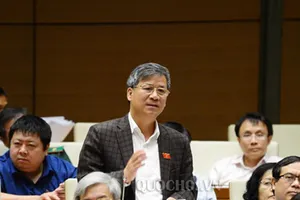 ĐBQH chất vấn Phó Thủ tướng về vấn đề đặc khu