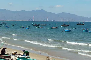 Bộ Nông nghiệp bác việc nhận chìm gần Hòn Cau