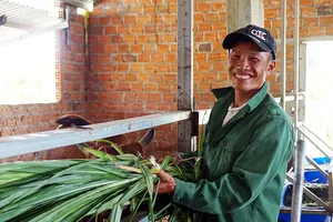 5 bị cáo trắng án và bữa cơm ngon nhất đời