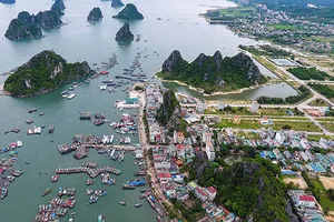 Cần hoãn luật đặc khu để ĐBQH nghiên cứu thêm