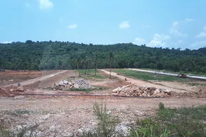 Cò đất đồng loạt rút khỏi Phú Quốc