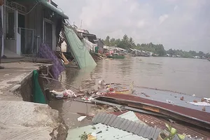 Đau đầu tìm cách chống sạt lở ĐBSCL