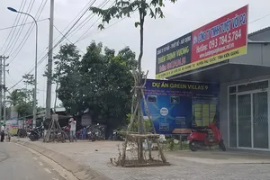 Tìm ‘thuốc’ trị sốt đất Phú Quốc