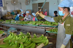 Mỹ-Trung ăn miếng trả miếng: Hàng Việt bị vạ lây