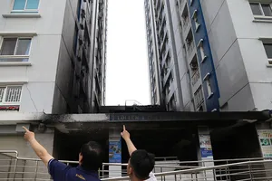 Tuần sau, bắt đầu sửa chung cư Carina