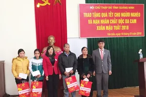 Thủ tướng biểu dương Hội Chữ thập đỏ Việt Nam