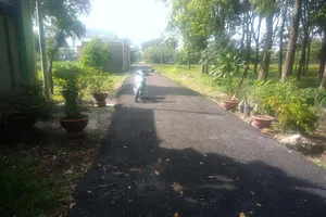 Thực hư vụ ‘tự bỏ tiền làm đường, bị còng tay’