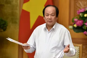 Kết liễu giấy phép con kiểu ‘có cũng như không’