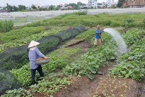 Chuyển đổi 26.000 ha đất nông nghiệp: Dân sẽ được lợi!