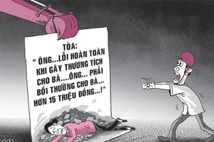 Phải đền tiền vì đẩy người ngã xuống đống đá