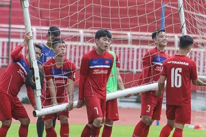 VFF chờ tân chủ tịch, ai lo đội tuyển?