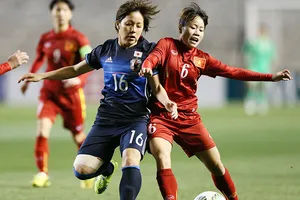 Thầy trò Mai Đức Chung không đi du lịch