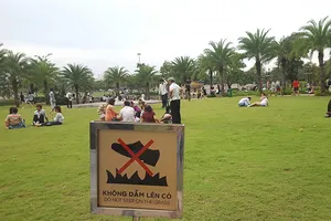 Người Việt thích là làm, bất chấp thị phi