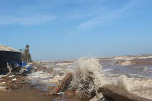 Sạt lở biển Cồn Bửng ‘nuốt’ cả rừng phòng hộ