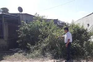 Xin cấp giấy, 8 tháng chưa xong