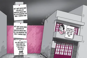 Đòi hàng xóm bồi thường 300 triệu vì đóng cọc gây nứt nhà