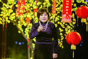 Hồng Nga: Đồng tiền nhọc nhằn nước mắt