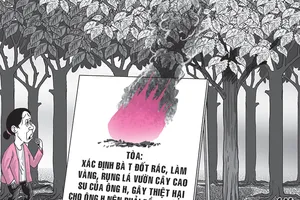 Đốt rác làm rụng lá cao su, phải đền tiền