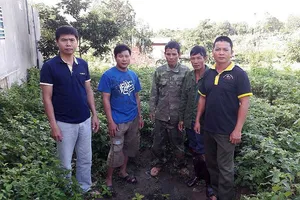 Đại biểu Trương Trọng Nghĩa nói về vụ cưa gỗ khô bị tội trộm