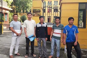 Cưa cây chết khô bị tội nặng hơn cưa cây còn sống?