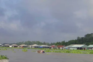 Ngập lụt đe dọa đồng bằng sông Cửu Long