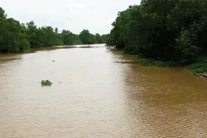 Truy tố cựu giám đốc sở tạm ứng tiền sai