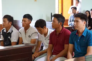 Vụ cưa cây rừng: Phó chánh án Tòa Tối cao đã nhầm