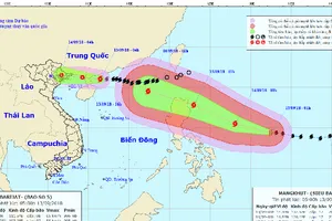 Siêu bão Mangkhut nhiều khả năng ảnh hưởng trực tiếp Việt Nam