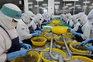 Tôm, cá Việt rộng đường sang Mỹ