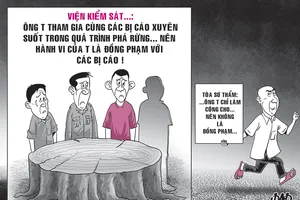 Kháng nghị hủy án vụ thuê người chặt phá rừng