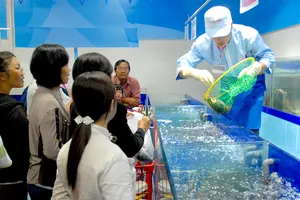 Cua Cà Mau đấu với... cua hoàng đế Mỹ