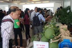 Gian nan xuất nông sản chính ngạch sang Trung Quốc