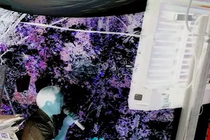 Vì sao khó trị tiếng ồn từ karaoke tự phát?